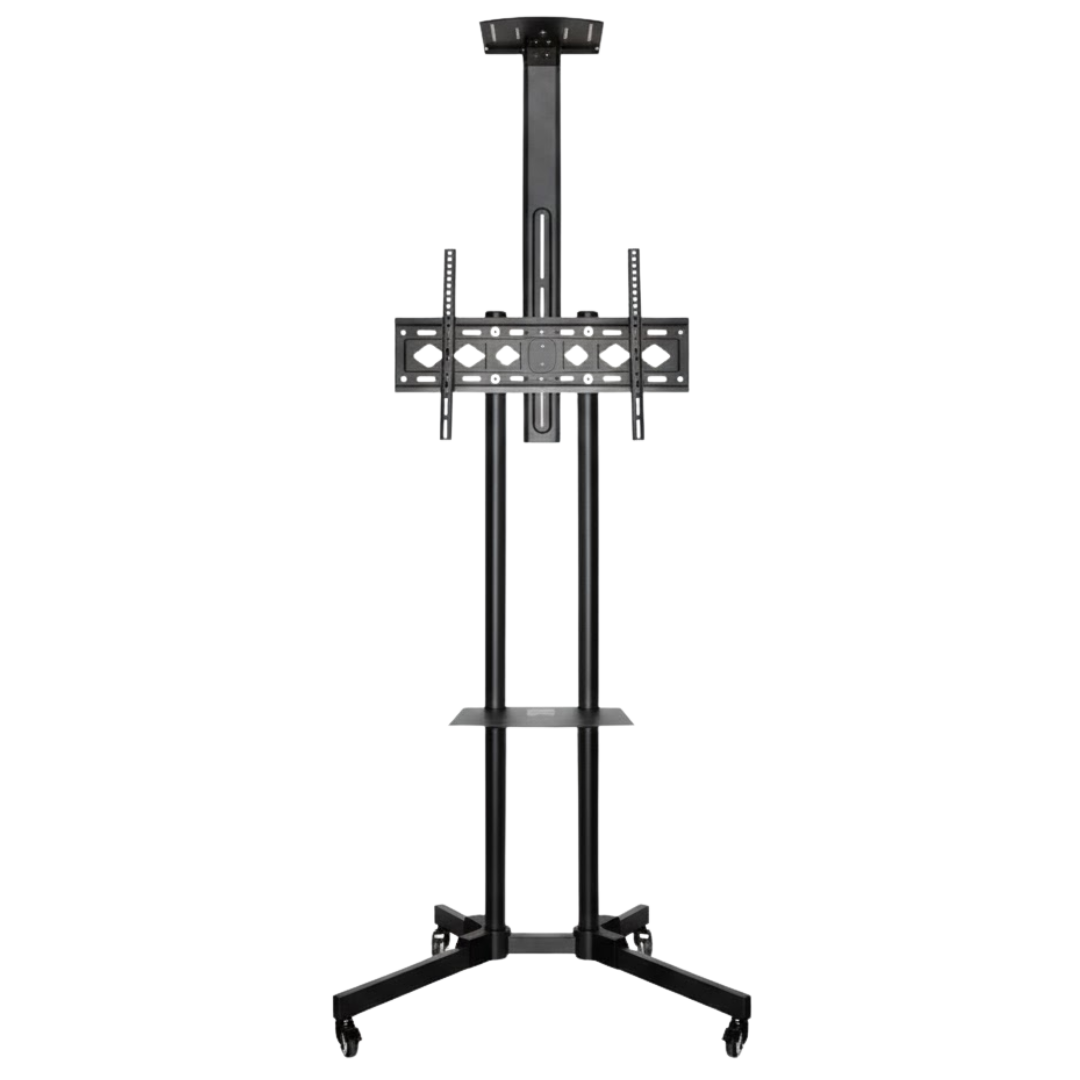 PEDESTAL ARIES 65LB