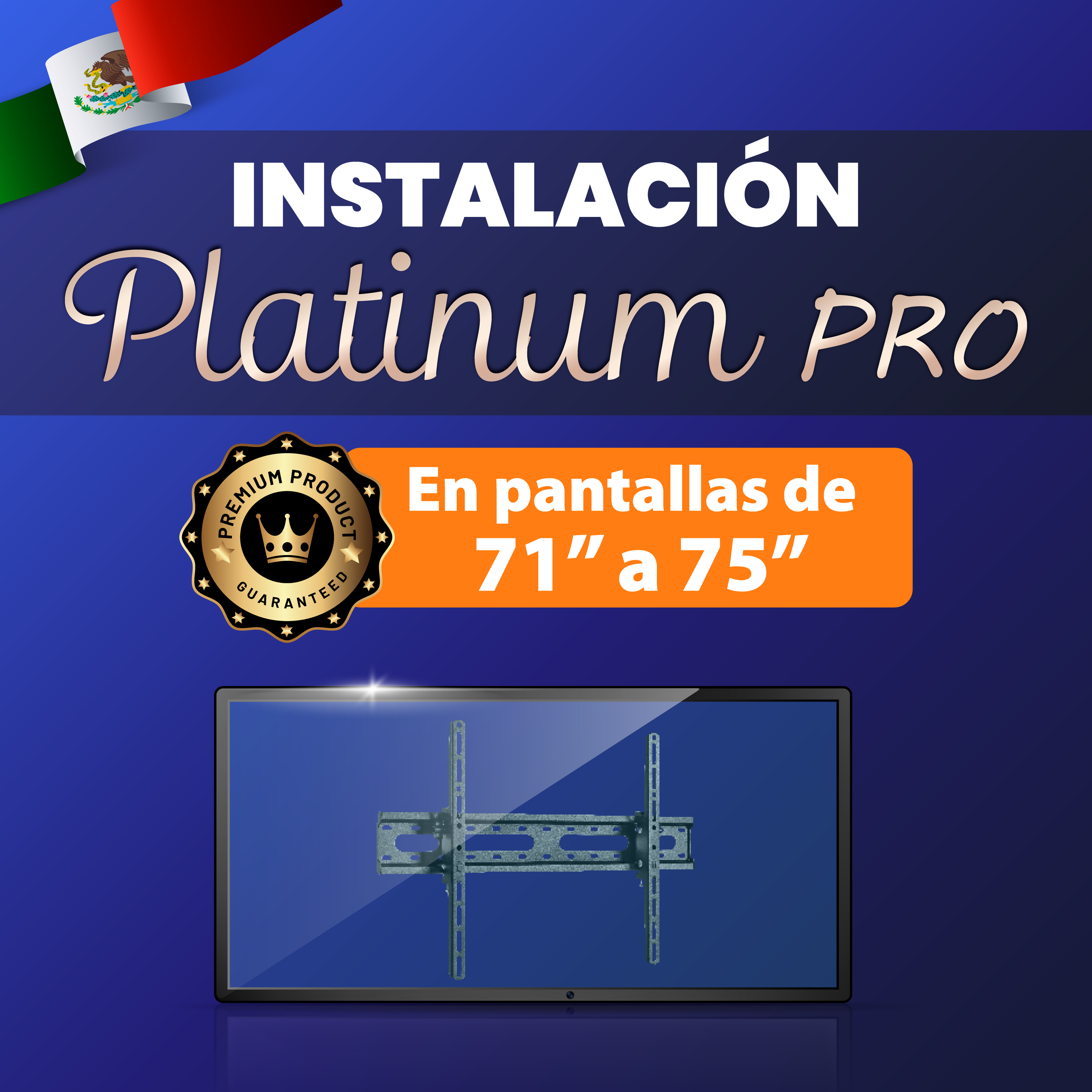 INSTALACION PLATINUM PRO